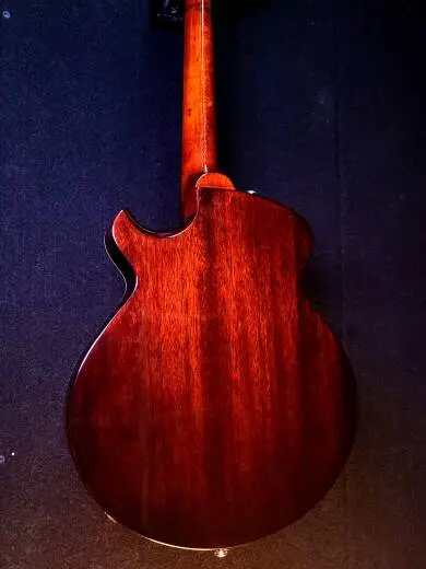 Eastman Guitars - ER-M 2